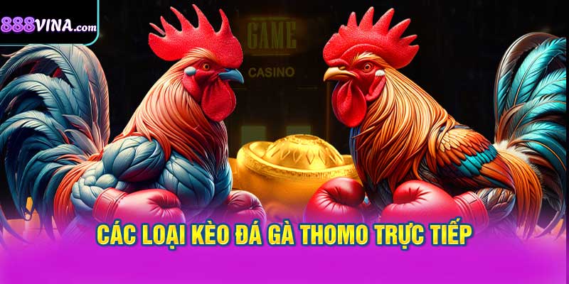 Các Loại Kèo Đá Gà Thomo Trực Tiếp Phổ Biến Tại 888vi